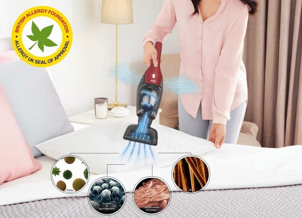1782736973_Aspirateur-balai-2-en-1-AEG-CX7-2-45AN-pratique-pour-poils-danimaux.jpg