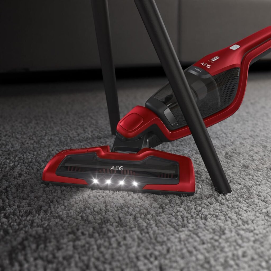 1782736978_Aspirateur-balai-2-en-1-AEG-CX7-2-45AN-pratique-pour-poils-danimaux.jpg
