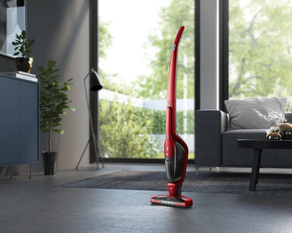 1782736987_Aspirateur-balai-2-en-1-AEG-CX7-2-45AN-pratique-pour-poils-danimaux.jpg