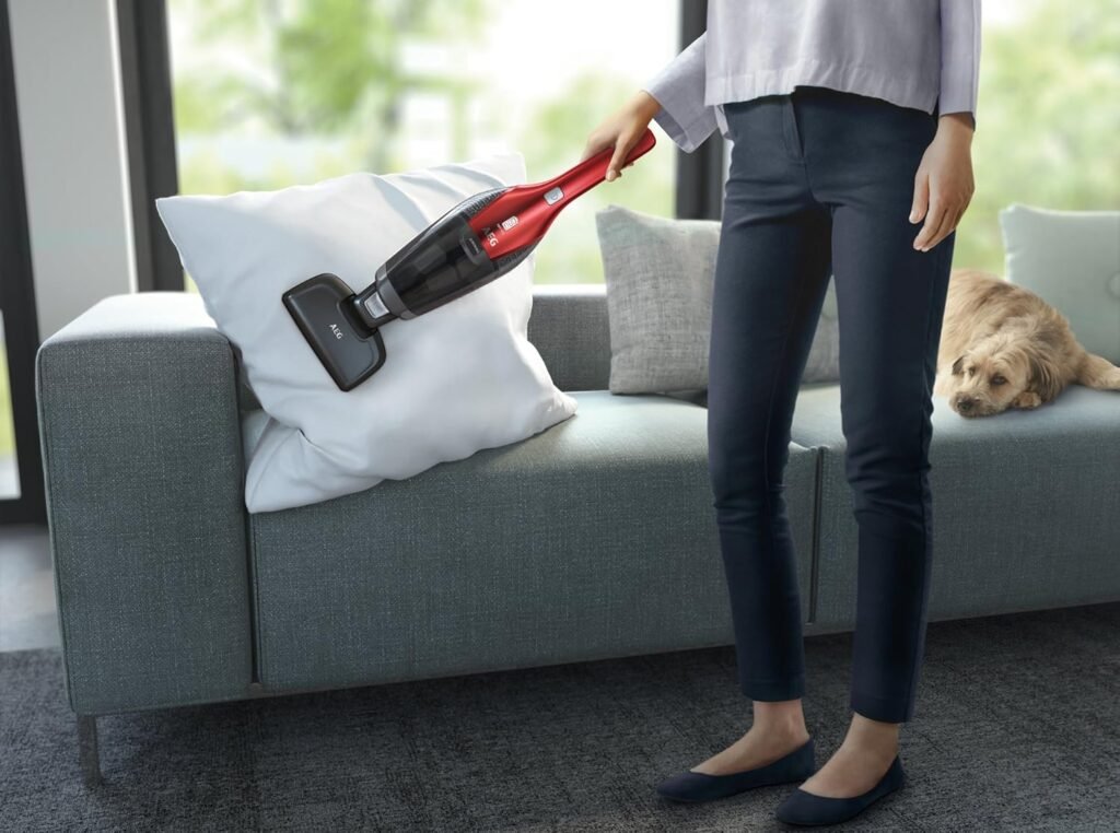 1782736990_Aspirateur-balai-2-en-1-AEG-CX7-2-45AN-pratique-pour-poils-danimaux.jpg