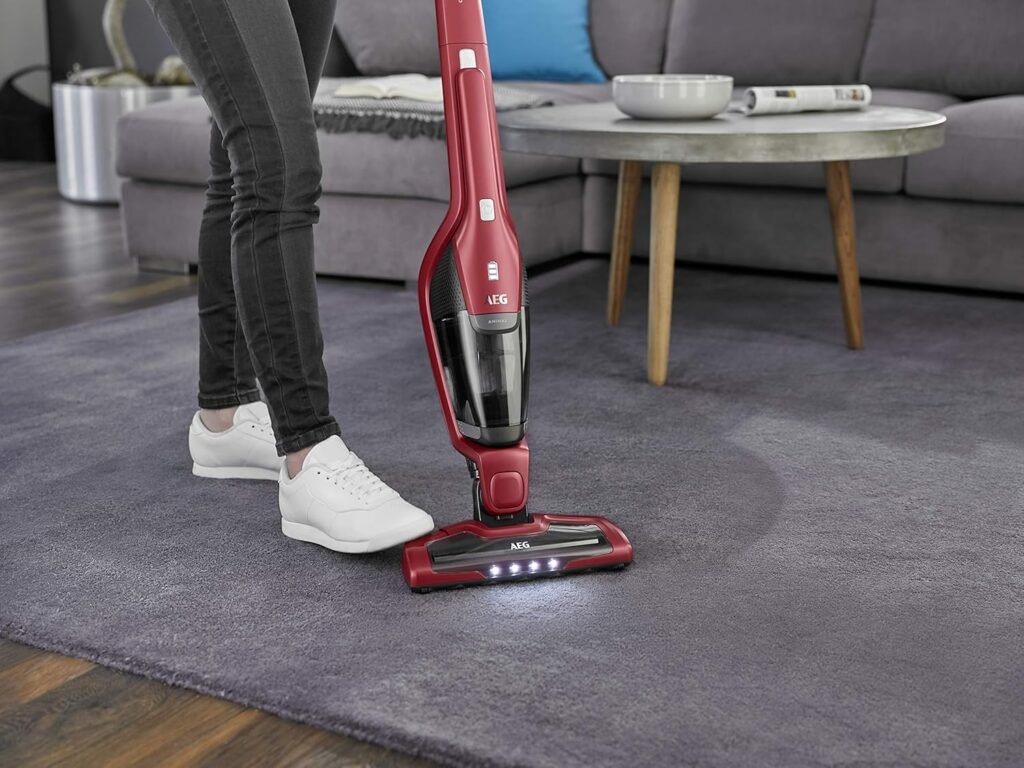 Aspirateur-balai-2-en-1-AEG-CX7-2-45AN-pratique-pour-poils-danimaux.jpg