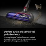Aspirateur Balai sans Fil Dyson V8 Absolute : 40 Min et Anti-Poils