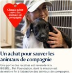 Aspirateur Balai sans Fil Bissell PowerClean 4091N : Idéal pour les Animaux