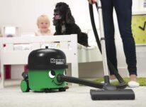 Aspirateur traîneau Numatic Henry Petcare HPC160 pour poils d’animaux