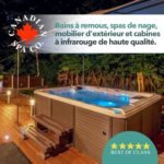 Aspirateur manuel pour spa Canadian Spa Co. Whirl Pool à 3 embouts