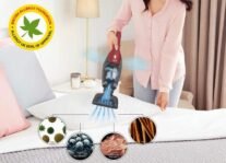 Aspirateur balai 2 en 1 AEG CX7-2-45AN, pratique pour poils d’animaux